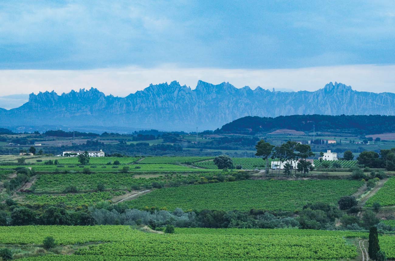DES304.adv04_penedes.vinya_i_montserrat.jpg