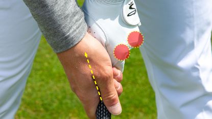 Neutral golf grip demonstrated by a Golf Monthly Top 50 Coach