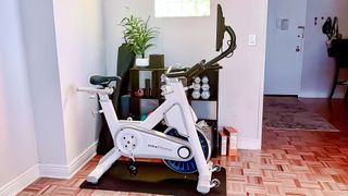 Side view of MYX II exercise bike in livingroom