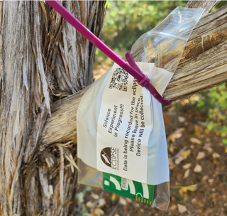A plastic bag containing an audio recording device hangs from a tree branch