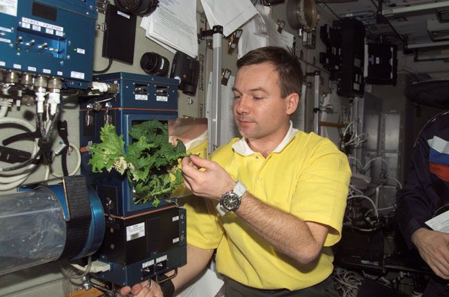 Space Station Harvest Relieves Crew&#039;s Minds, Appetites