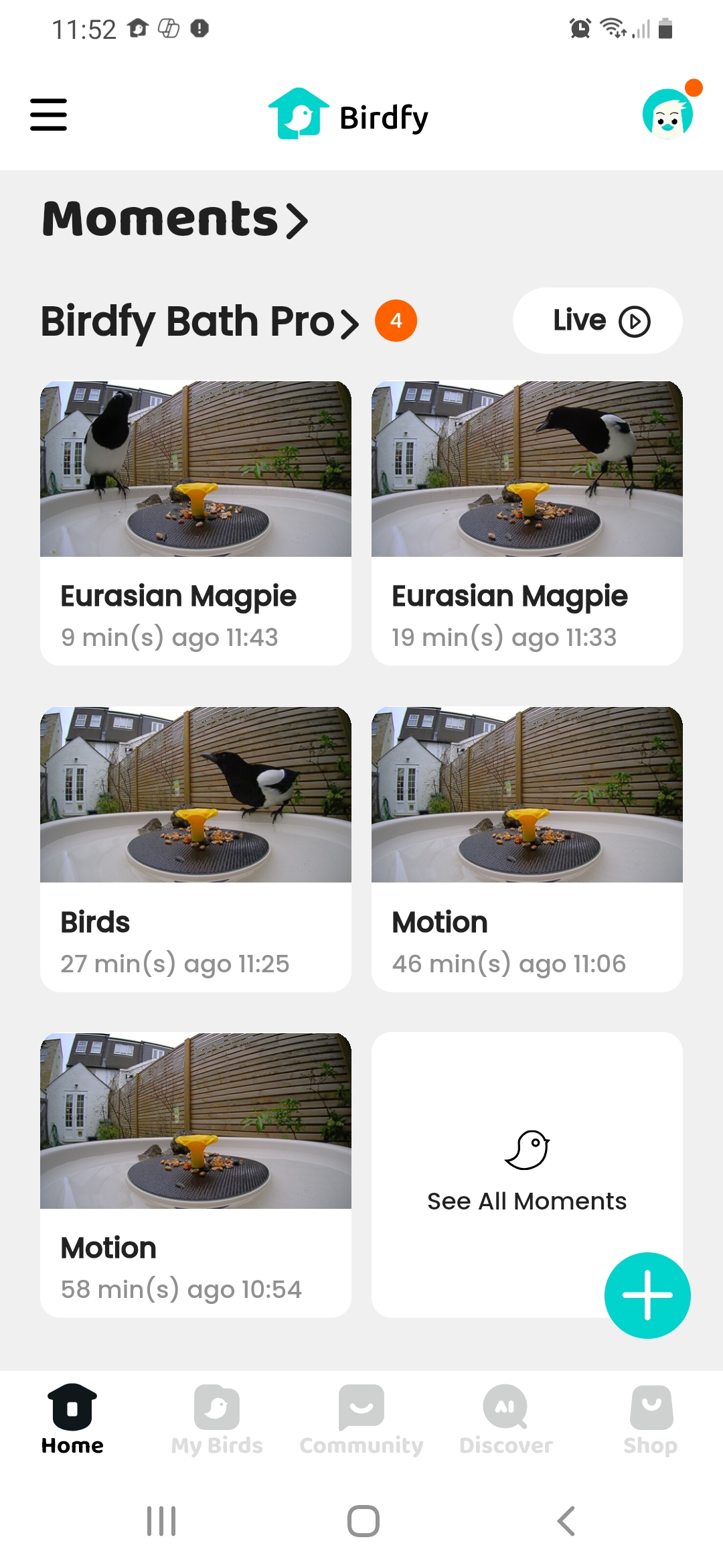 Screenshot from the Birdfy Smart Bird Bath Pro with Stand app