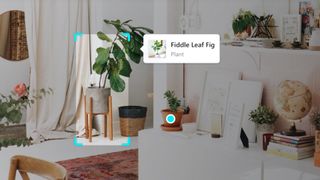 Bing Visual Search live identifying a plant