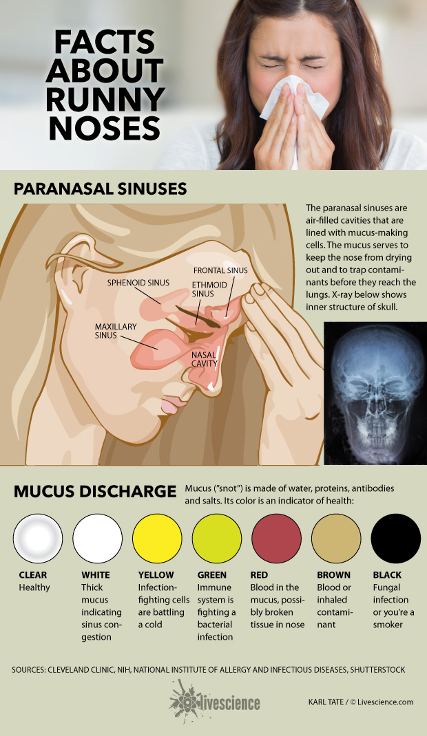 What Your Snot Says About You (Infographic)