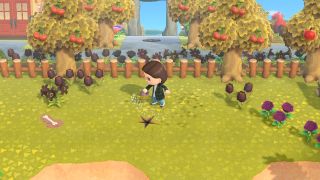 Finding gyroids in Animal Crossing: New Horizons