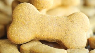 DIY peanut butter dog treats: Peanut Butter and Pumpkin Dog Treats