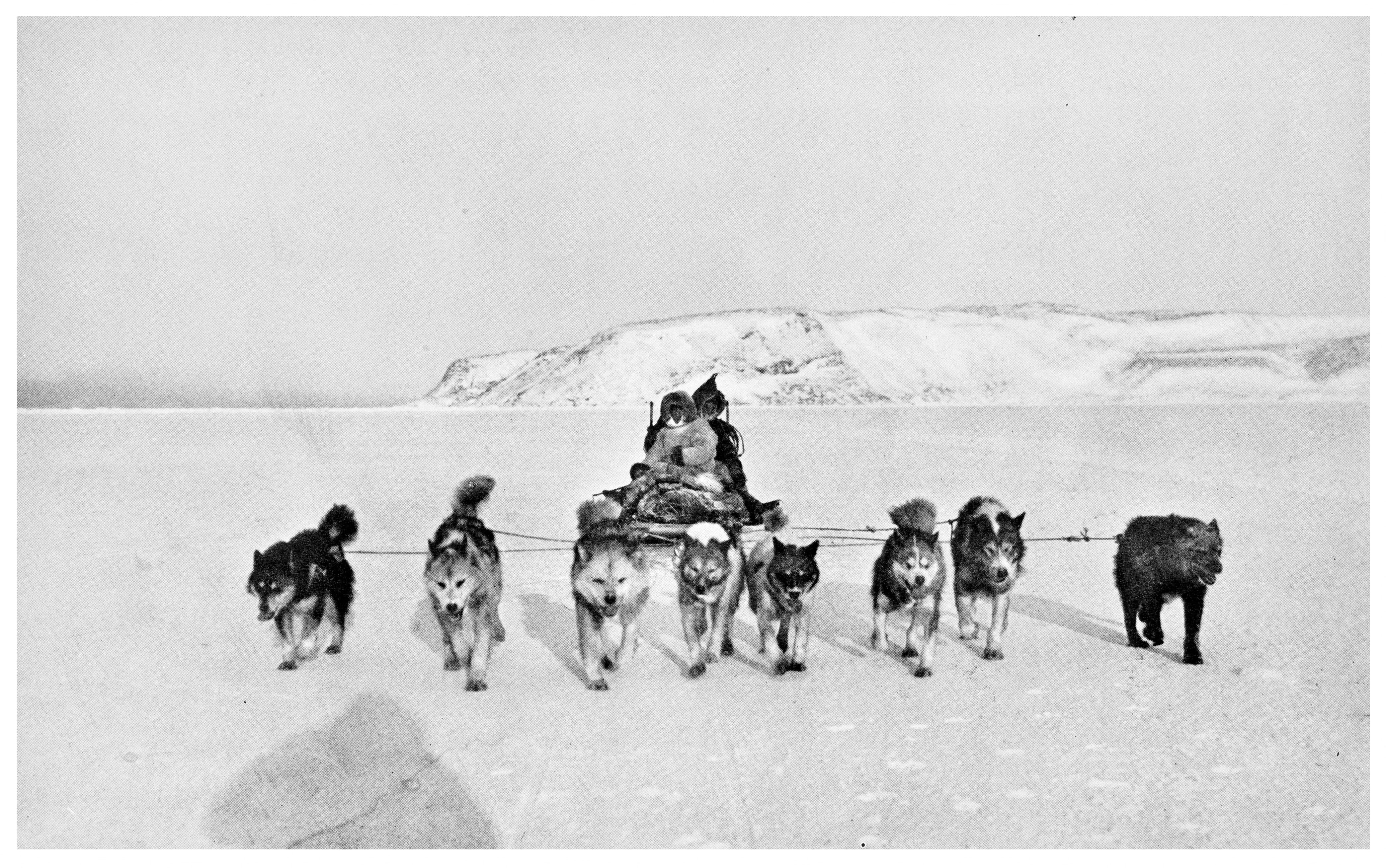A long sledging team of husky dogs travels across snow-covered ground north of Etah, seen from Cape Hatherton, 1925.
