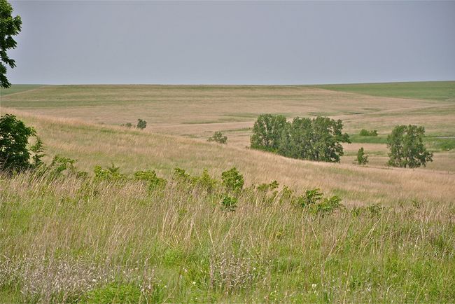 Tallgrass Prairie Ecosystem Images | North American Prairies | Live Science