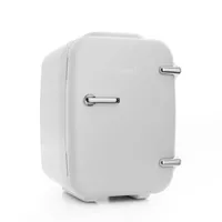 Portable 4 Liter Mini Cooler for Skincare