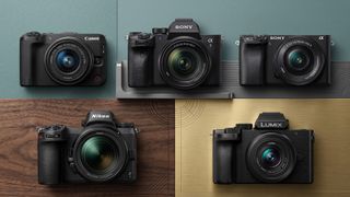 A selection of cameras.