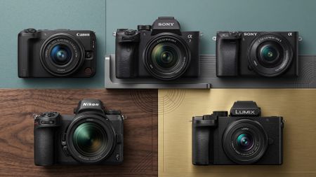 A selection of cameras.