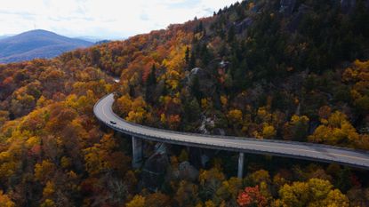 A road cuts through fall foliage 
