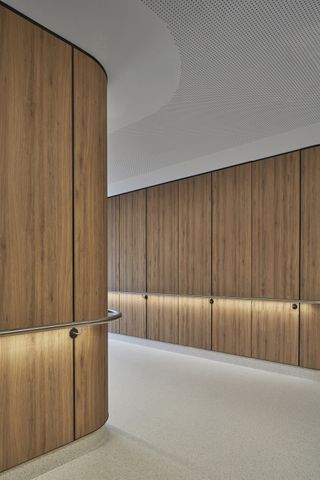 Timber cladding at Bates Smart for Gandel Wing in Australia