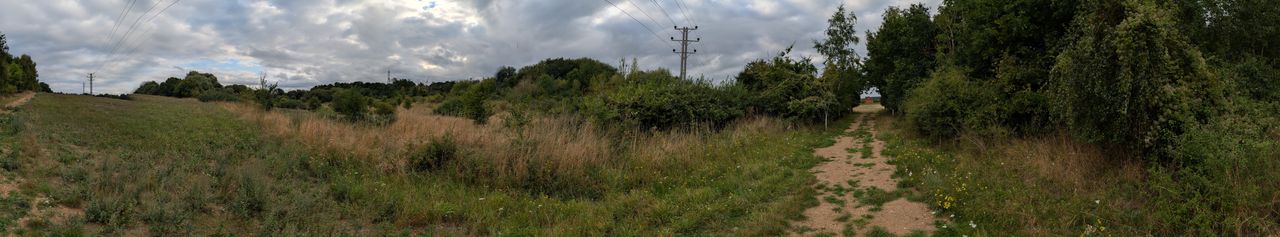200 photos pixel 9 panorama shots