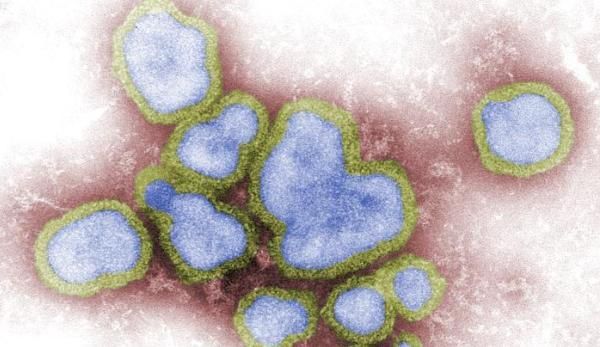 influenza-a-virus-cdc-11090902