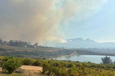 Wildfire in Contantia