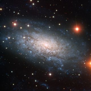 Galaxy NGC 3621