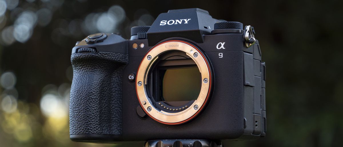 Sony A9 III camera outside with background foliage, no lens attached