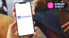 DeepSeek on a mobile device.