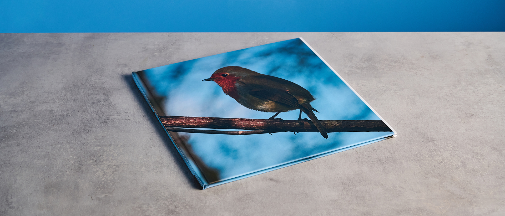 Blurb photo book photographed on a table in front of a blue background