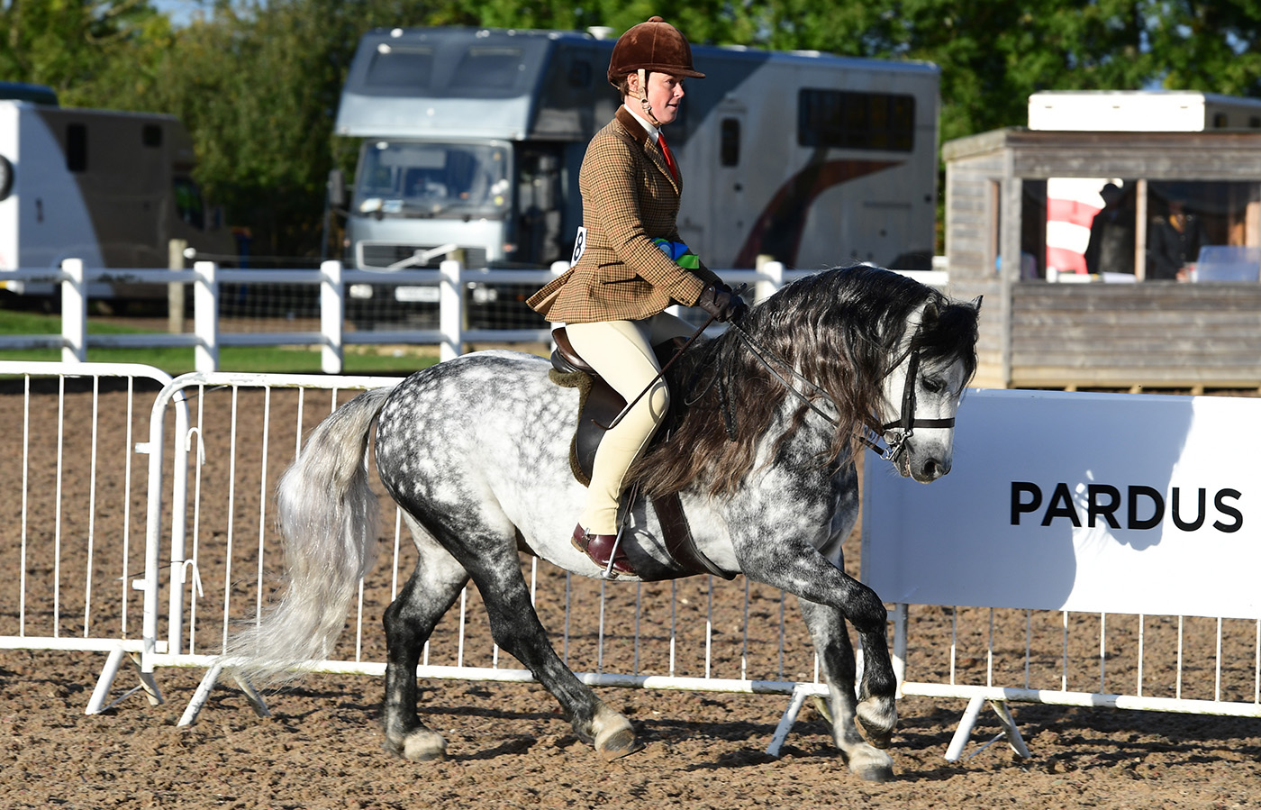 Heritage Show 15.10.22Cl. 77 D/E/S1st No. 168 Shilstone Rocks River Dart