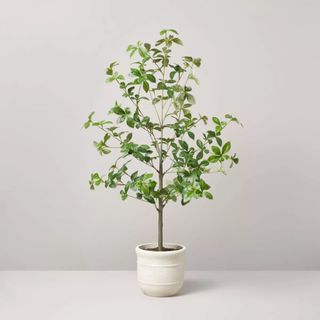 33 Faux Gypsophila Leaf Plant - Hearth & Hand™ with Magnolia