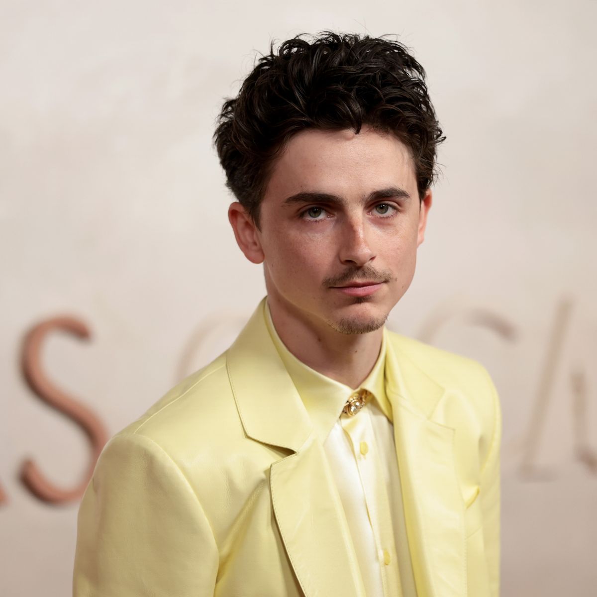 Timothée Chalamet attends the 97th annual Academy Awards