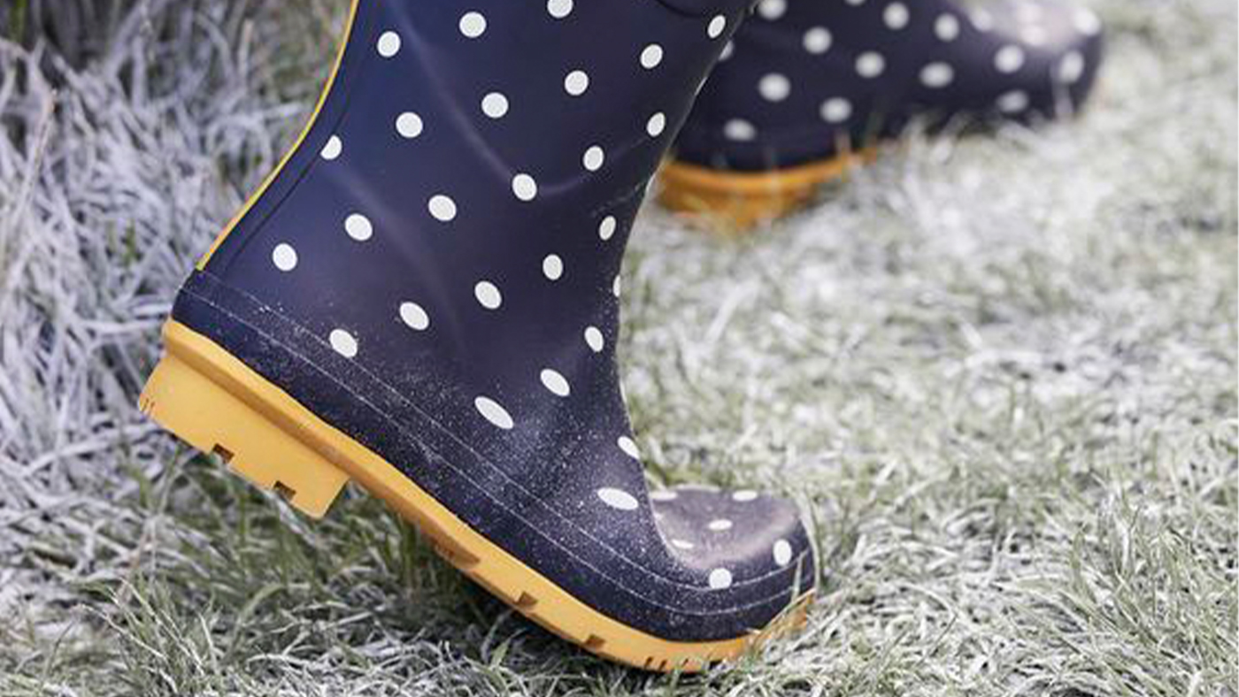 Joules spotty wellies