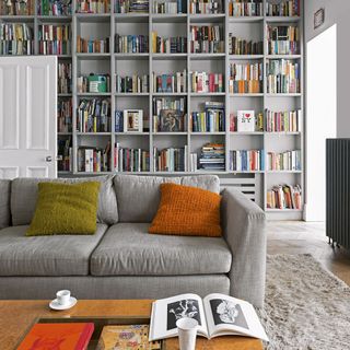 living room with grey book shelf