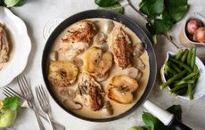 Normandy chicken with apples