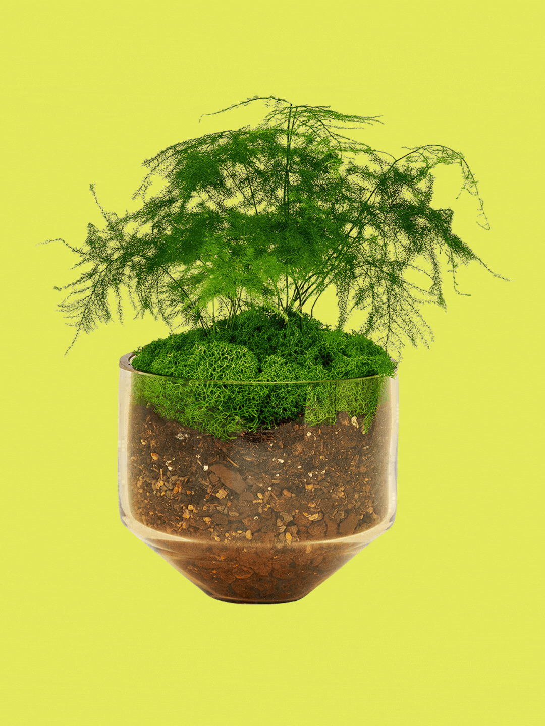 A glass yellow planter from Areware