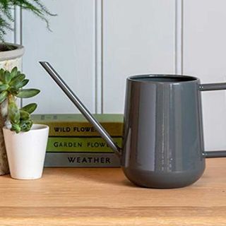 grey indoor watering can on a shelf