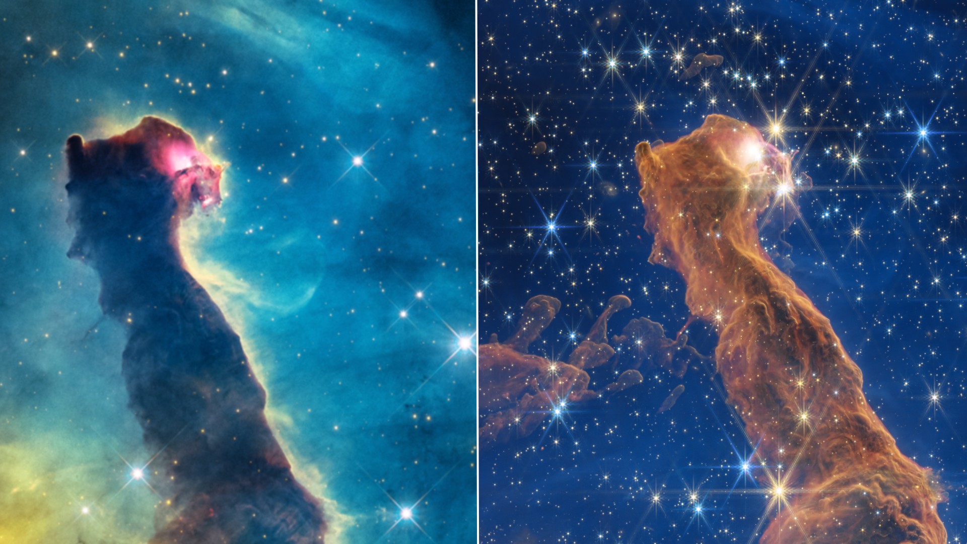 a cloudy wisp of gas on a starry background, shaped somewhat like a cat's head