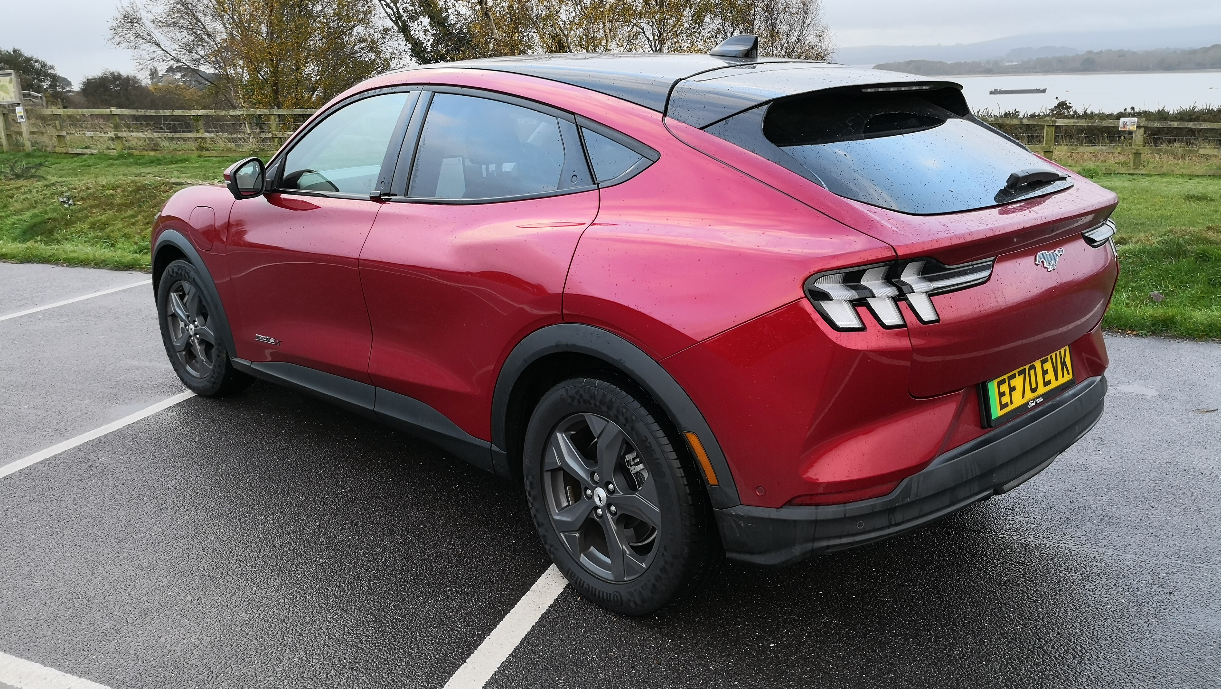 red Ford Mustang mach-e from the rear