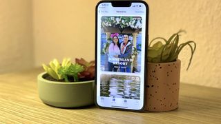 An iPhone displaying photo memories while leaning against a plant pot.
