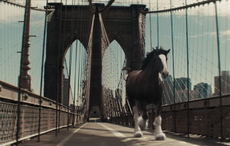 Budweiser-beer-country.png