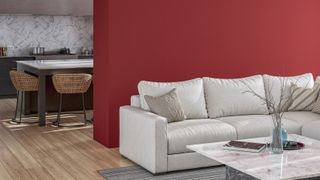 Red feature wall diving living room and kitchen