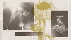 Photo collage of hands reaching out towards a light, a hospital room, and a wilted sunflower