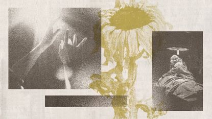 Photo collage of hands reaching out towards a light, a hospital room, and a wilted sunflower