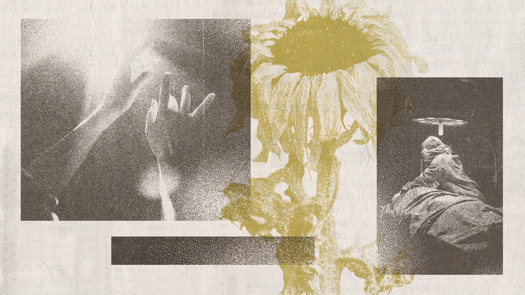 Photo collage of hands reaching out towards a light, a hospital room, and a wilted sunflower