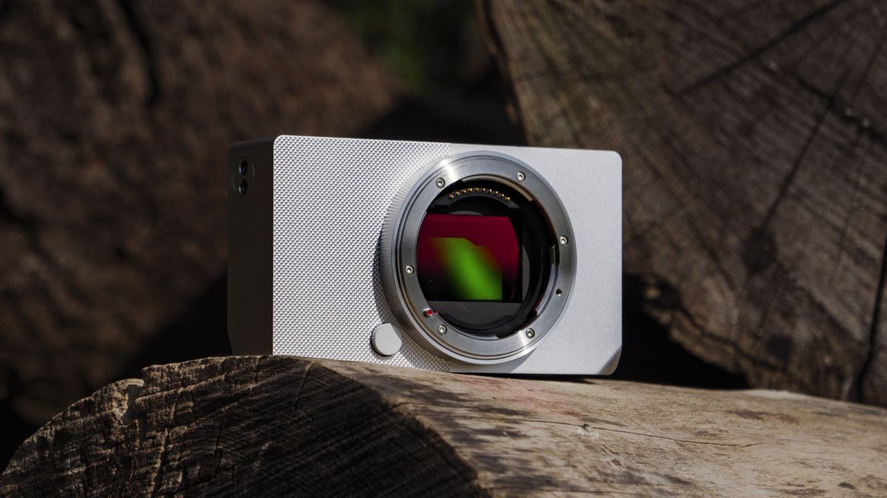 Silver Sigma BF camera without lens attached, on a large log