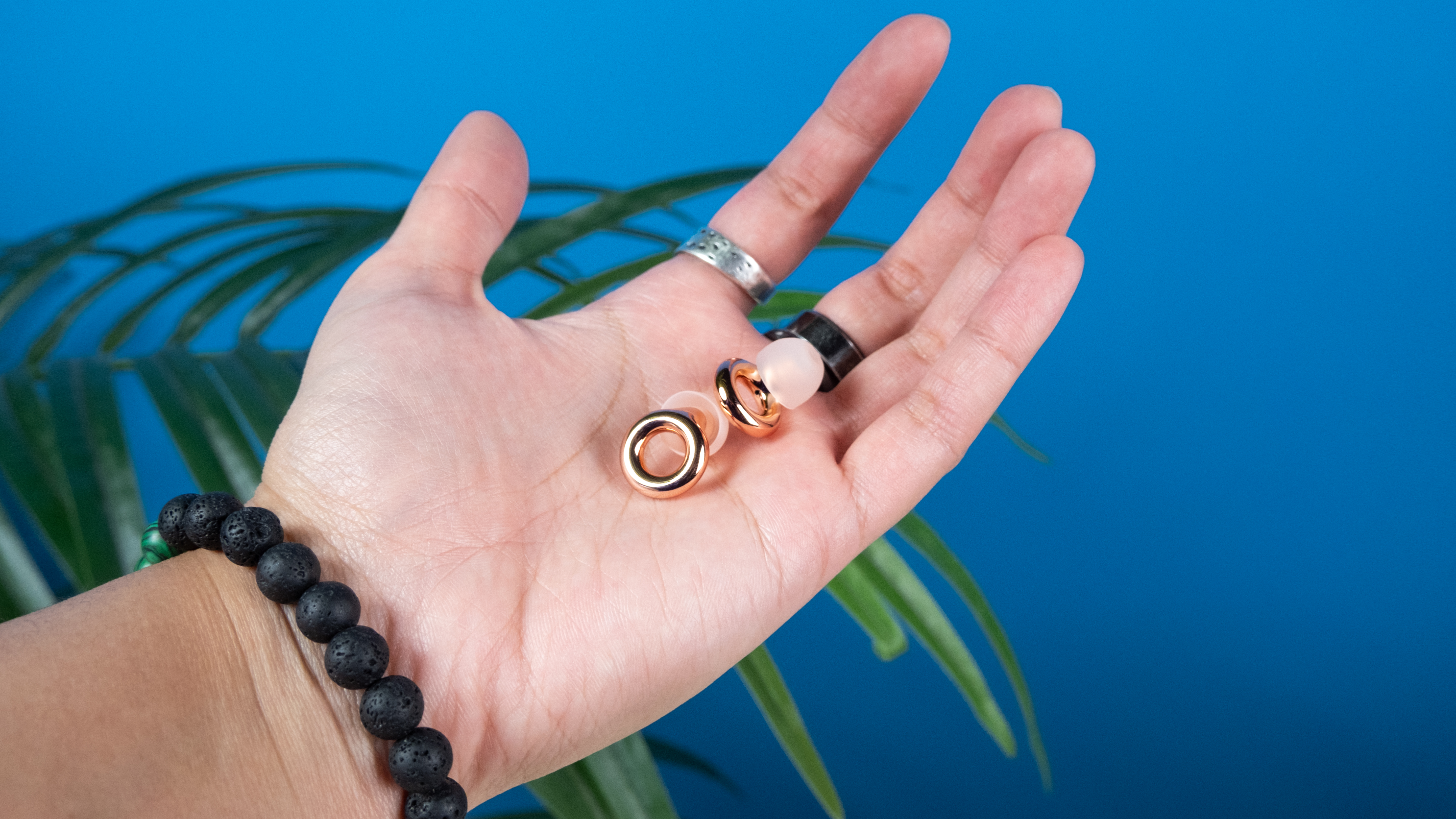 Loop Experience 2 Plus earplugs