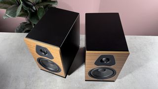 Sonus Faber Lumina II on a stone surface