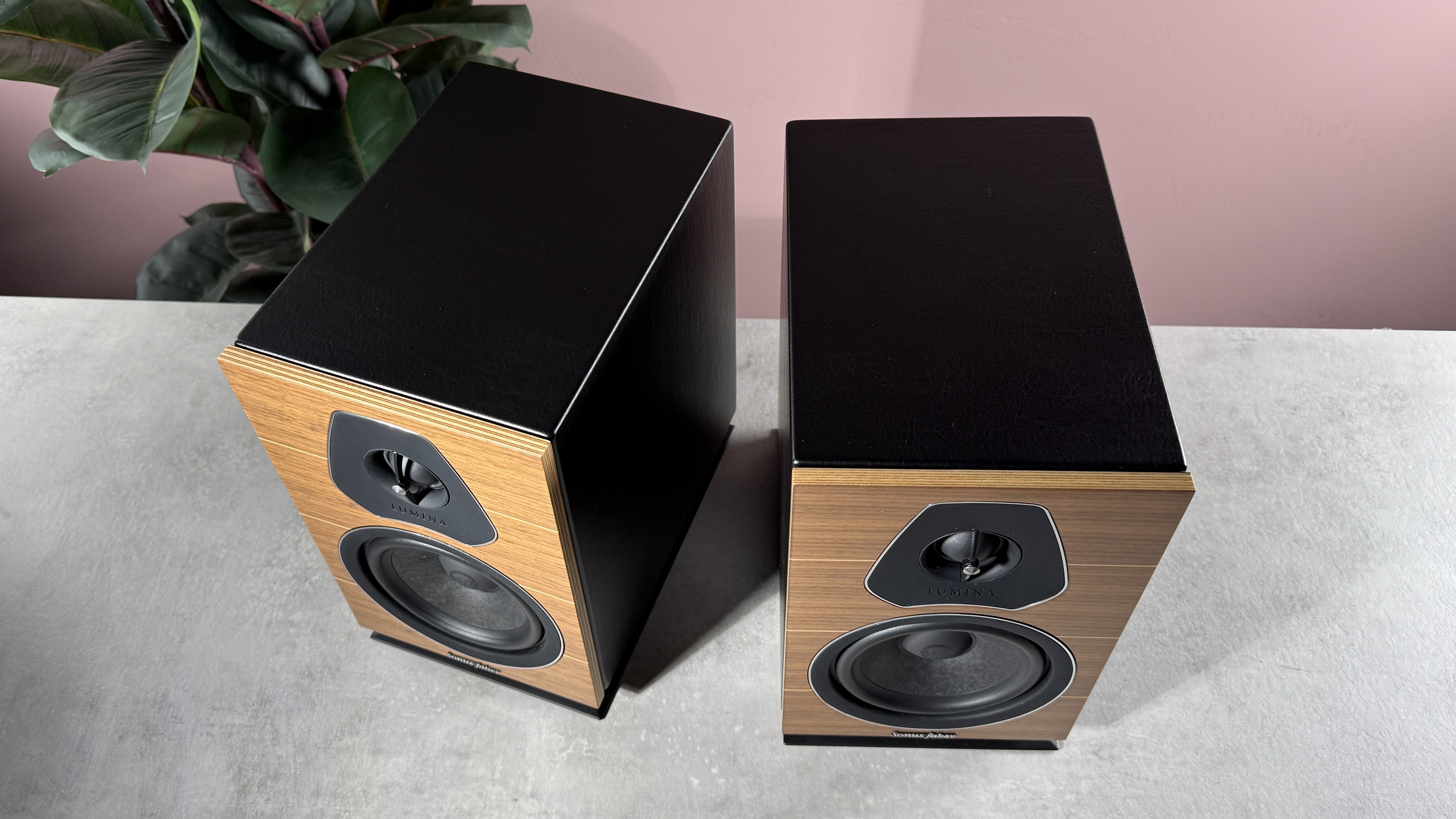 Sonus Faber Lumina II on the surface of the stone