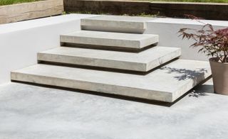 Steps leading to the garden at Oliver Leech Architects' Epsom house extension