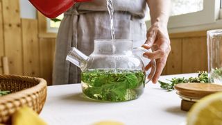 a photo of lemon balm tea