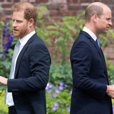 Prince William and Prince Harry standing with their backs to each other