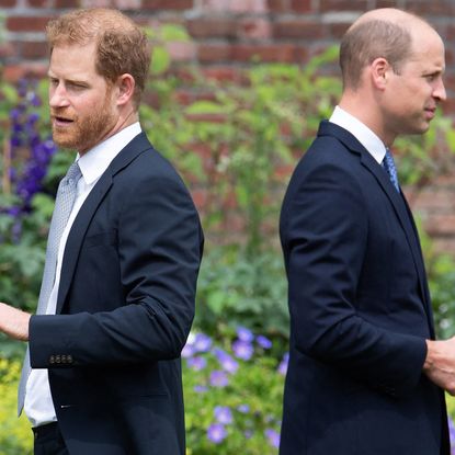 Prince William and Prince Harry standing with their backs to each other