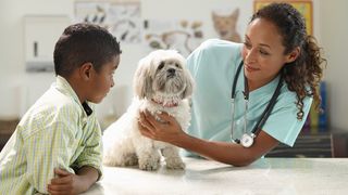 Is pet insurance worth it? Dog getting checked over by a vet as young boy watches