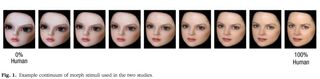 Facial morphs, from 0 percent human to 100 percent human, used to determine the point at which people declare a face to be animate versus inanimate.